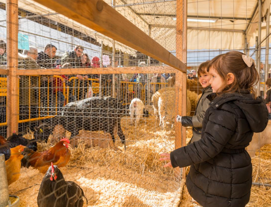 Fira de la Candelera de Molins de Rei