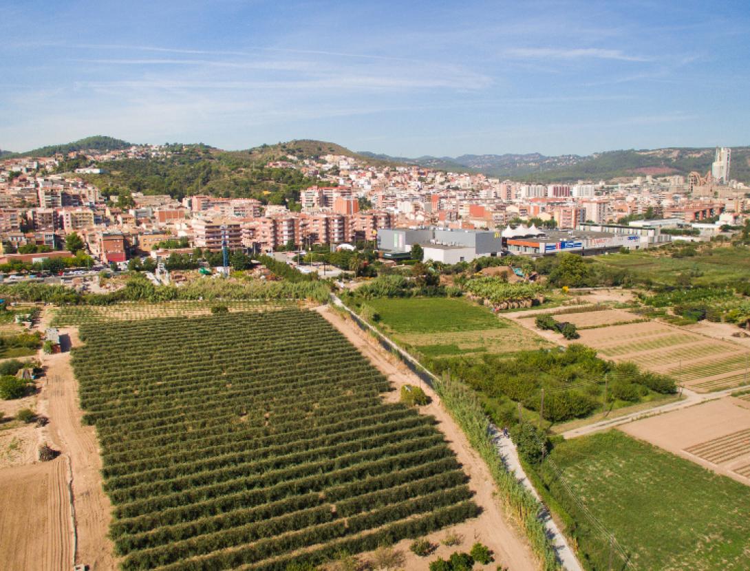 Mostra comercial i agrícola de Sant Vicenç dels Horts