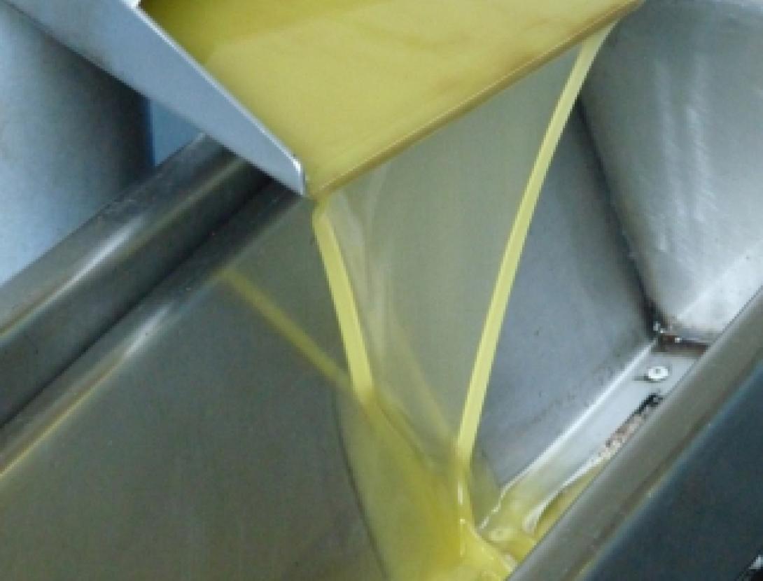 Oulesa, l'oli d'Olesa de Montserrat