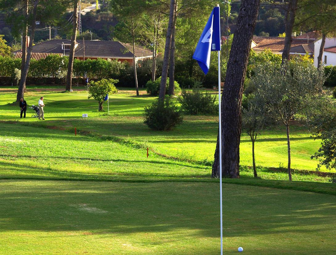 Pitch &amp; Putt3.JPG