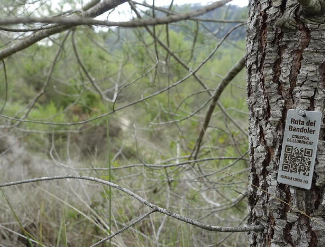 Herboristes i herbes remeieres a Sant Ponç
