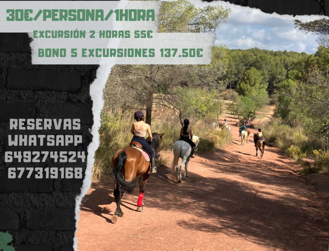 Hipic Club Internacional