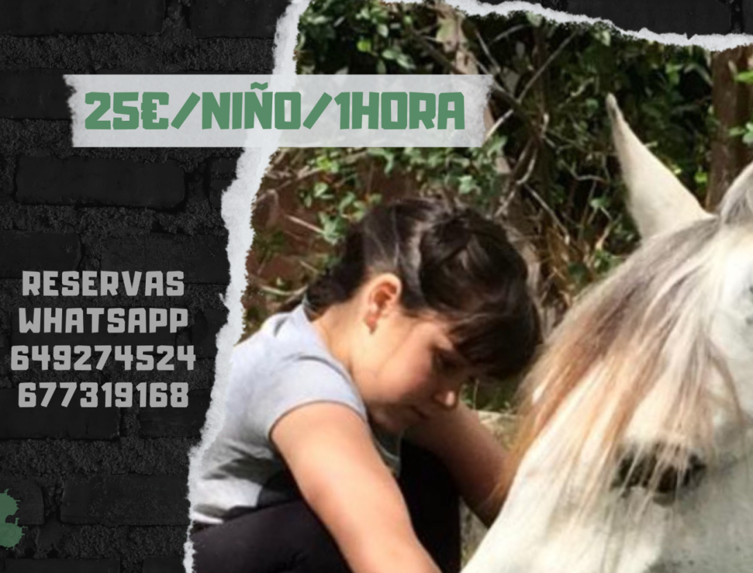 Hipic Club Internacional