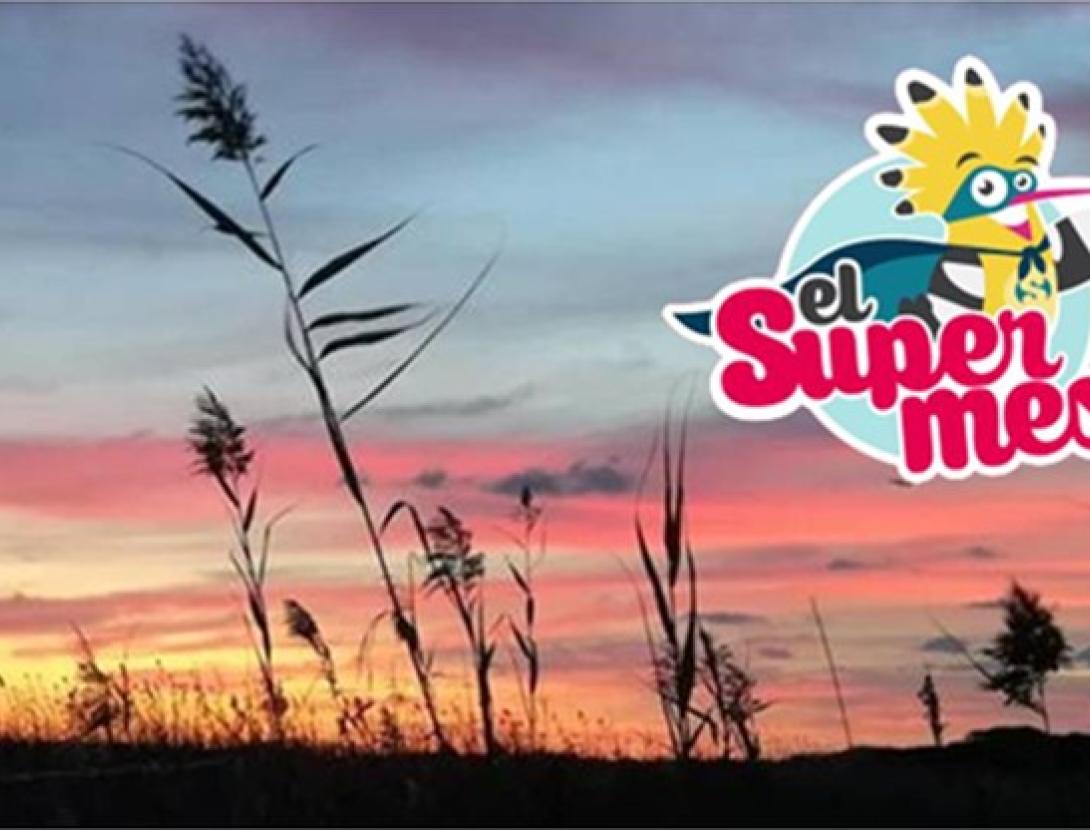 Nit de jocs familiar ACTIVITAT NOCTURNA