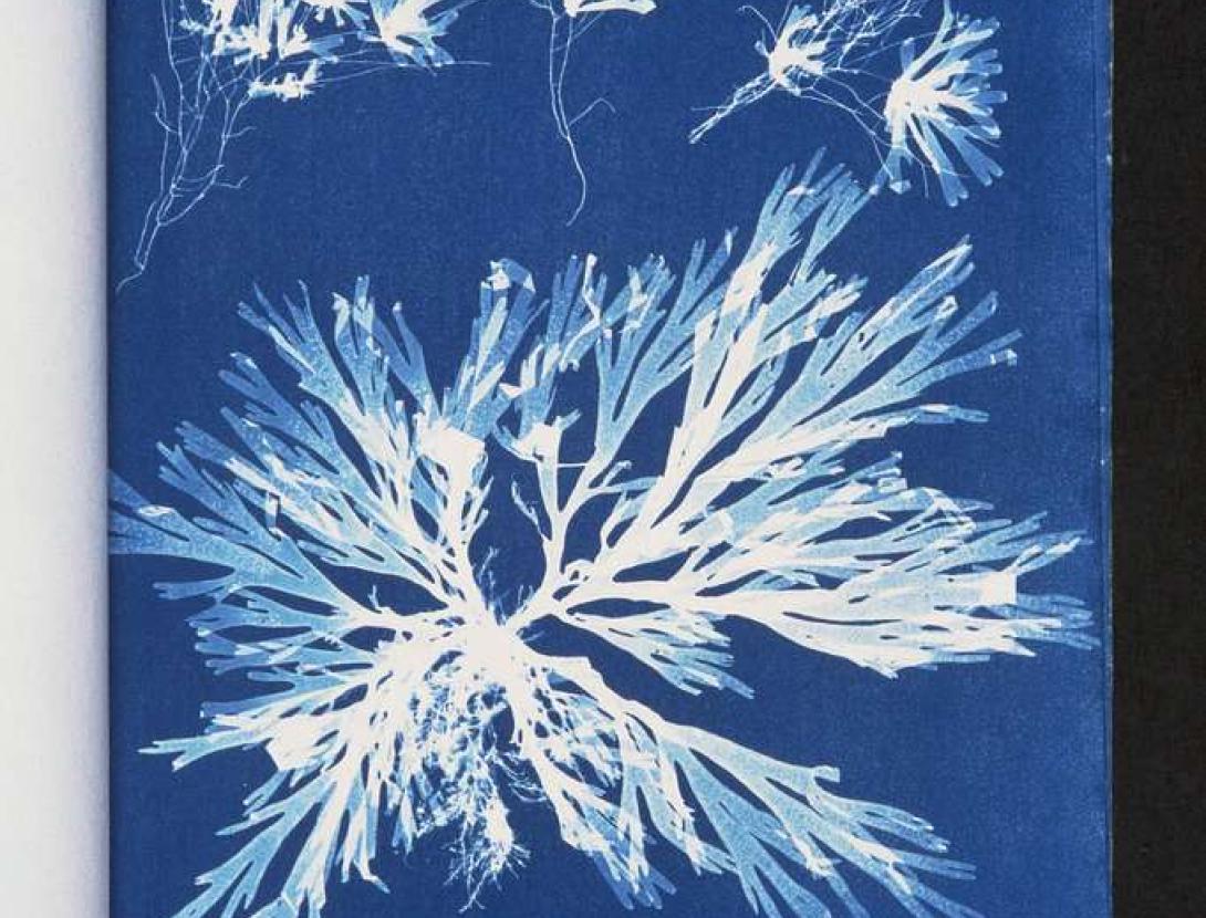 Biblioteca Santa Oliva