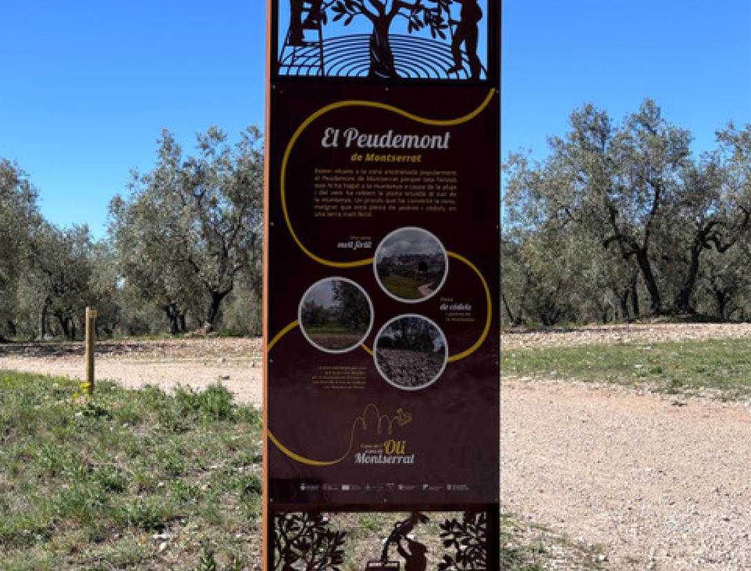 Camí de l'Oli
